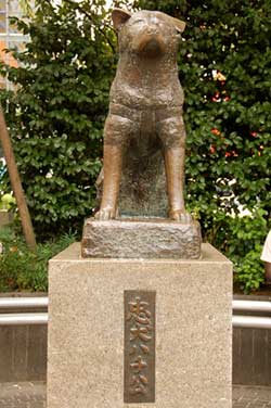 Photo of Hachiko statue